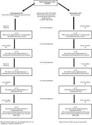 Iron status of exclusively breastfed low-birth-weight infants born to anemic mothers and effect of maternal iron supplementation for 3 versus 6 months: A randomized double-blind placebo control trial